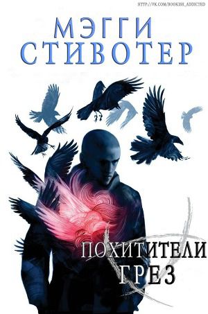 Мэгги Стивотер: Похитители снов