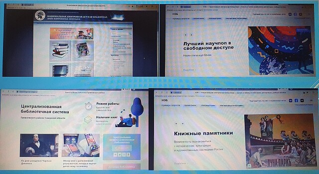 Неделя безопасного Рунета в с. Екатериновка